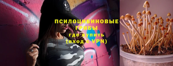 стаф Абинск