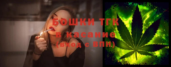стаф Абинск