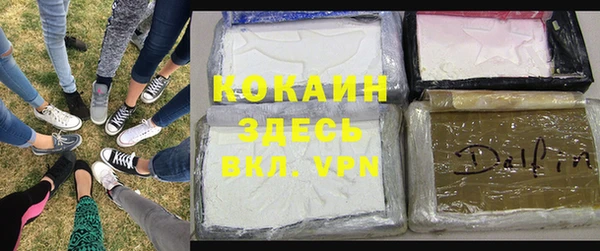 стаф Абинск