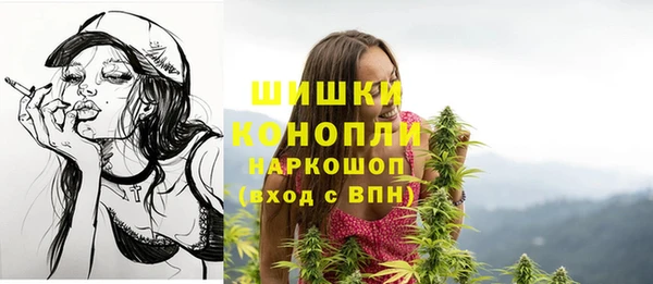 стаф Абинск